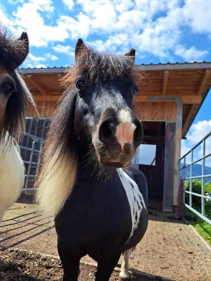 Berggasthof Karlbauer Lendorf Eksteriør bilde